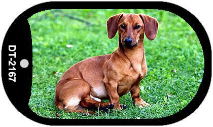 Dachshund Novelty Metal Dog Tag Necklace DT-2167
