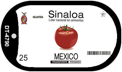 Sinaloa Mexico Blank Novelty Metal Dog Tag Necklace DT-4790