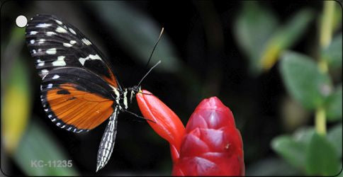 Butterfly On Red Flower Novelty Aluminum Key Chain KC-11235