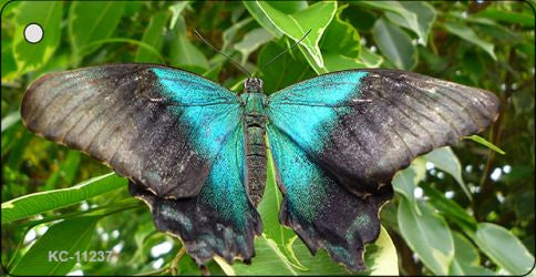 Butterfly Blue and Black Novelty Aluminum Key Chain KC-11237