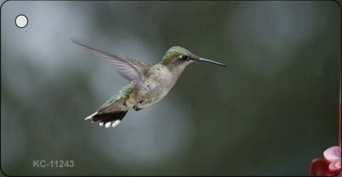 Hummingbird In Flight Novelty Aluminum Key Chain KC-11243