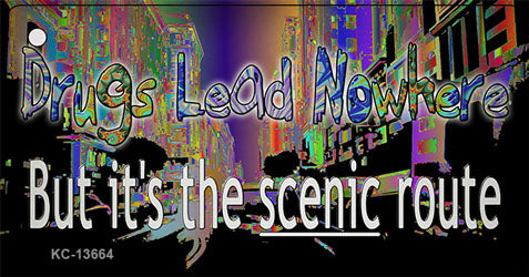 Drugs Lead Nowhere Novelty Metal Key Chain KC-13664