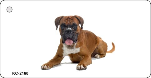 Boxer Novelty Metal Key Chain KC-2160