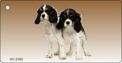 Cavalier King Charles Spaniel Novelty Metal Key Chain KC-2162