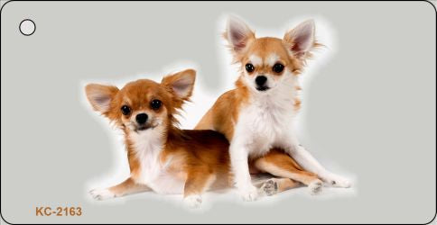 Chihuahua Novelty Metal Key Chain KC-2163