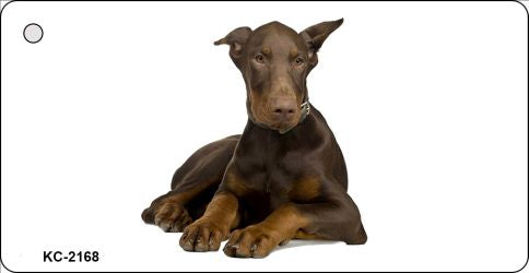 Doberman Novelty Metal Key Chain KC-2168