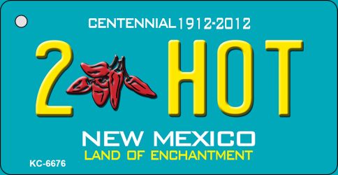 2 Hot Teal New Mexico Novelty Metal Key Chain KC-6676