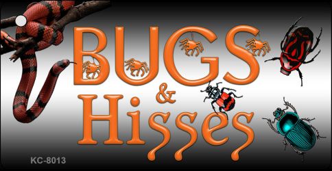 Bugs And Hisses Novelty Aluminum Key Chain KC-8013