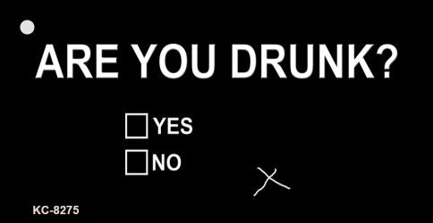 Are You Drunk Novelty Aluminum Key Chain KC-8275
