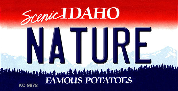 Nature Idaho State Metal Novelty Aluminum Key Chain KC-9878