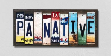 PA Native License Plate Tag Strips Novelty Wood Signs WS-539