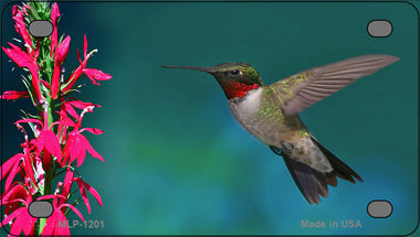 Humming Bird Novelty Mini Metal License Plate Tag