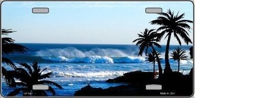OCEAN WAVE METAL NOVELTY LICENSE PLATE