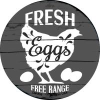 Fresh Eggs Free Range Novelty Circle Coaster Set of 4