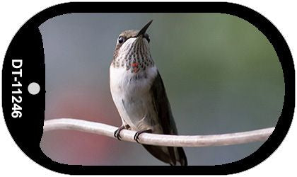 Hummingbird - Perched On Branch Novelty Metal Dog Tag Necklace DT-11246