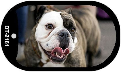 Bulldog Novelty Metal Dog Tag Necklace DT-2161