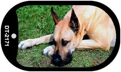 Great Dane Novelty Metal Dog Tag Necklace DT-2171