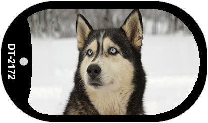 Husky Novelty Metal Dog Tag Necklace DT-2172