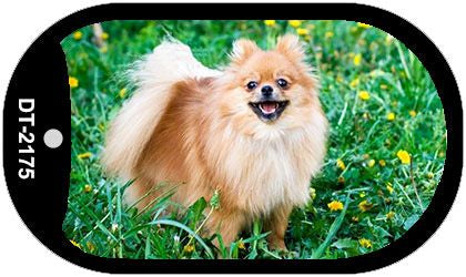 Pomeranian Novelty Metal Dog Tag Necklace DT-2175