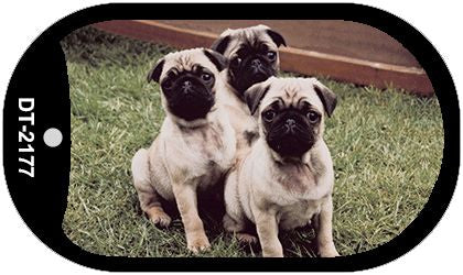 Pug Novelty Metal Dog Tag Necklace DT-2177