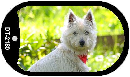 West Highland White Terrier Novelty Metal Dog Tag Necklace DT-2180