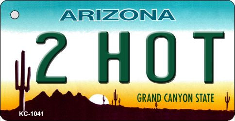 2 Hot Arizona State License Plate Tag Key Chain KC-1041