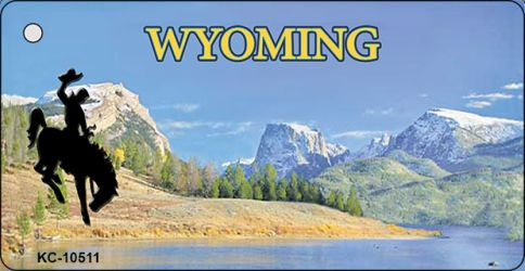 Wyoming Blank State License Plate Tag Key Chain KC-10511