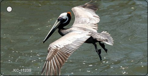 Pelican In Flight Novelty Aluminum Key Chain KC-11239