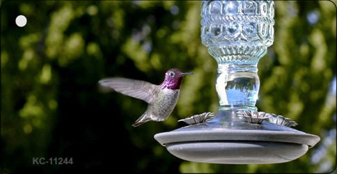 Hummingbird At Feeder Novelty Aluminum Key Chain KC-11244