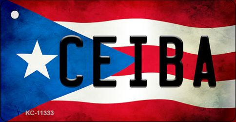 Ceiba Puerto Rico State Flag Novelty Metal Key Chain KC-11333