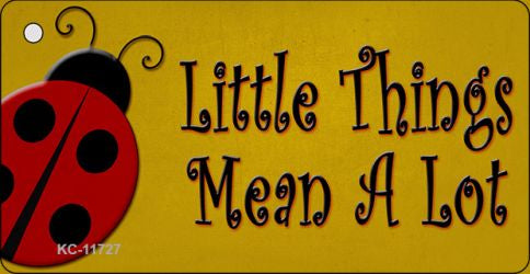 Little Things Mean A Lot Novelty Metal Key Chain KC-11727