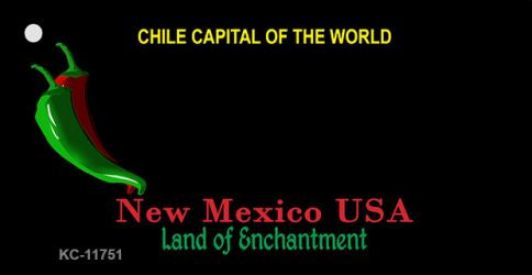 New Mexico State Blank Novelty Metal Key Chain KC-11751