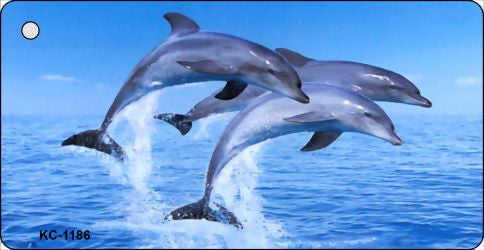 Dolphins Novelty Aluminum Key Chain KC-1186