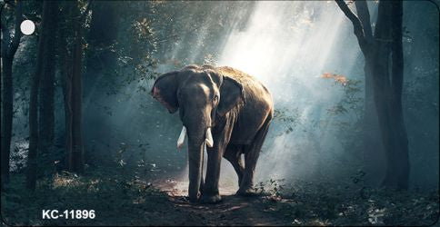 Elephant in the Woods Novelty Metal Key Chain KC-11896