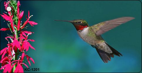 Hummingbird Novelty Aluminum Key Chain KC-1201
