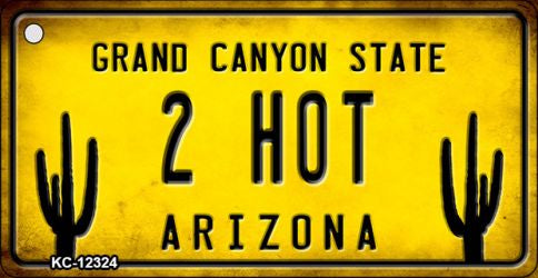 Arizona 2 Hot Novelty Metal Key Chain KC-12324