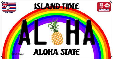 Aloha Pineapple Novelty Metal Key Chain KC-12546