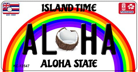 Aloha Coconut Novelty Metal Key Chain KC-12547