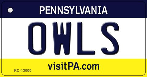Owls Novelty Metal Key Chain KC-13000