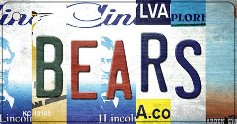 Bears Strip Art Novelty Metal Key Chain KC-13163