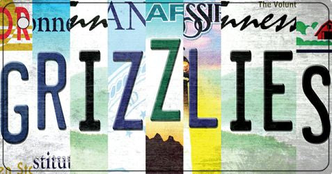 Grizzlies Strip Art Novelty Metal Key Chain KC-13225