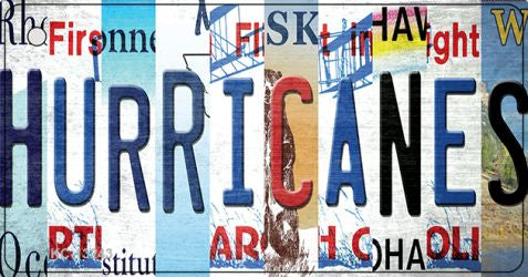 Hurricanes Strip Art Novelty Metal Key Chain KC-13243