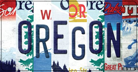 Oregon Strip Art Novelty Metal Key Chain KC-13310