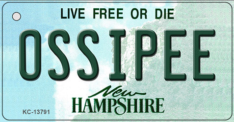 Ossipee New Hampshire Novelty Metal Key Chain KC-13791