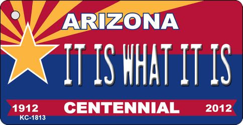 It Is What It Is Arizona Centennial State License Plate Tag Key Chain KC-1813