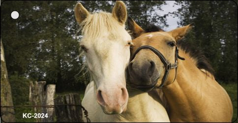 Horses Sweet On Each Other Novelty Metal Key Chain KC-2024