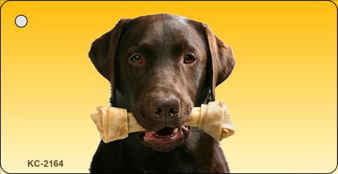 Chocolate Lab Novelty Metal Key Chain KC-2164