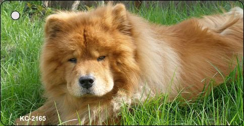 Chow Chow Novelty Metal Key Chain KC-2165