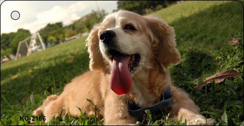 Cocker Spaniel Novelty Metal Key Chain KC-2166