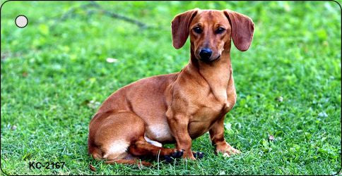 Dachshund Novelty Metal Key Chain KC-2167